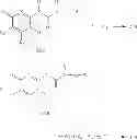 Fig. 96 - Cosmetic treatment processes and kit