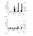 Fig. 06 - Therapeutic Compounds