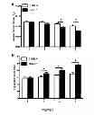 Fig. 04 - METHOD FOR TREATING LUNG DISEASE