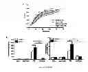 Fig. 07 - METHOD FOR TREATING LUNG DISEASE