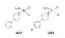 Fig. 01 - Platinum anticancer agents
