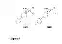 Fig. 05 - Platinum anticancer agents