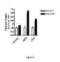 Fig. 06 - Platinum anticancer agents