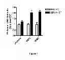 Fig. 07 - Platinum anticancer agents
