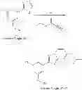 Fig. 321 - Nuclear transport modulators and uses thereof