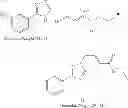 Fig. 334 - Nuclear transport modulators and uses thereof