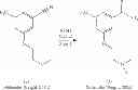 Fig. 352 - Nuclear transport modulators and uses thereof