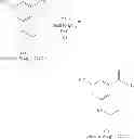 Fig. 445 - Nuclear transport modulators and uses thereof