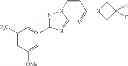 Fig. 586 - Nuclear transport modulators and uses thereof