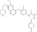 Fig. 243 - c-Met Modulators and Method of Use
