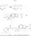 Fig. 09 - COMPOUNDS AND METHODS