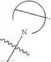 Fig. 445 - ANTI-VIRAL COMPOUNDS