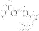 Fig. 210 - C-Met Modulators and Method of Use