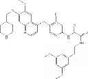 Fig. 211 - C-Met Modulators and Method of Use