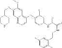 Fig. 216 - C-Met Modulators and Method of Use