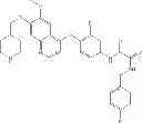 Fig. 243 - C-Met Modulators and Method of Use