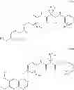 Fig. 340 - C-Met Modulators and Method of Use