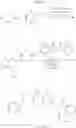 Fig. 243 - Pyruvate kinase activators for use in therapy