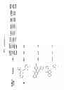 Fig. 07 - COMPOUNDS FOR MODULATING TRPV3 FUNCTION