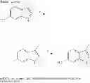Fig. 111 - MODULATORS OF ATP-BINDING CASSETTE TRANSPORTERS