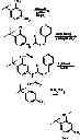 Fig. 174 - MODULATORS OF ATP-BINDING CASSETTE TRANSPORTERS
