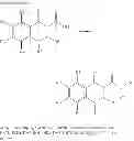 Fig. 206 - MODULATORS OF ATP-BINDING CASSETTE TRANSPORTERS