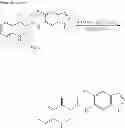 Fig. 211 - MODULATORS OF ATP-BINDING CASSETTE TRANSPORTERS