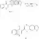 Fig. 212 - MODULATORS OF ATP-BINDING CASSETTE TRANSPORTERS