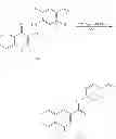 Fig. 217 - MODULATORS OF ATP-BINDING CASSETTE TRANSPORTERS