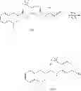 Fig. 219 - MODULATORS OF ATP-BINDING CASSETTE TRANSPORTERS