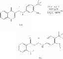 Fig. 221 - MODULATORS OF ATP-BINDING CASSETTE TRANSPORTERS