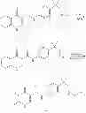 Fig. 238 - MODULATORS OF ATP-BINDING CASSETTE TRANSPORTERS