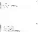 Fig. 244 - MODULATORS OF ATP-BINDING CASSETTE TRANSPORTERS