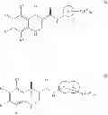 Fig. 249 - MODULATORS OF ATP-BINDING CASSETTE TRANSPORTERS