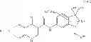 Fig. 43 - MODULATORS OF ATP-BINDING CASSETTE TRANSPORTERS