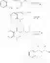 Fig. 92 - MODULATORS OF ATP-BINDING CASSETTE TRANSPORTERS
