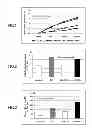 Fig. 02 - Anti-obesity agent comprising high-purity EPA