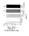 Fig. 14 - Compounds and Methods for Treating Cancer and Diseases of the Central Nervous System