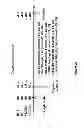 Fig. 16 - Compounds and Methods for Treating Cancer and Diseases of the Central Nervous System