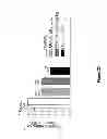 Fig. 19 - Compounds and Methods for Treating Cancer and Diseases of the Central Nervous System