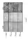 Fig. 32 - Compounds and Methods for Treating Cancer and Diseases of the Central Nervous System