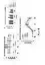 Fig. 42 - Compounds and Methods for Treating Cancer and Diseases of the Central Nervous System
