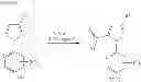 Fig. 15 - Aniline type compounds