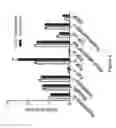 Fig. 05 - Compositions and methods of using micro RNAs
