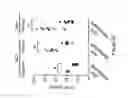 Fig. 43 - Compositions and methods of using micro RNAs