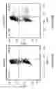 Fig. 77 - Compositions and methods of using micro RNAs