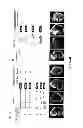 Fig. 04 - Micro-RNA's that regulate muscle cells