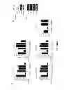Fig. 08 - Micro-RNA's that regulate muscle cells