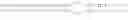 Fig. 265 - METHODS AND COMPOSITIONS FOR THE SPECIFIC INHIBITIONS OF EGFR BY DOUBLE-STRANDED RNA
