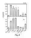 Fig. 04 - PROMOTERS EXHIBITING ENDOTHELIAL CELL SPECIFICITY AND METHODS OF USING SAME FOR REGULATION OF ANGIOGENESIS